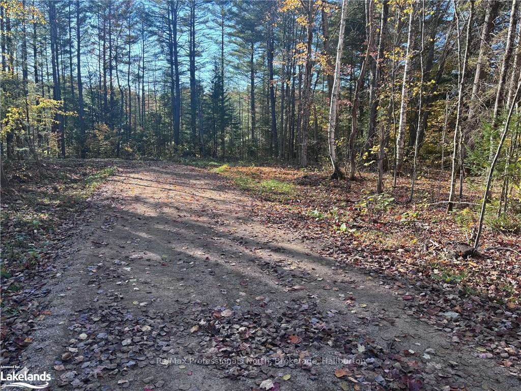 Photo 2 of LOT 4, Algonquin Highlands, Stanhope — HOMEH