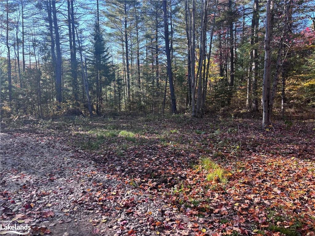 Photo 3 of LOT 4, Algonquin Highlands, Stanhope — HOMEH