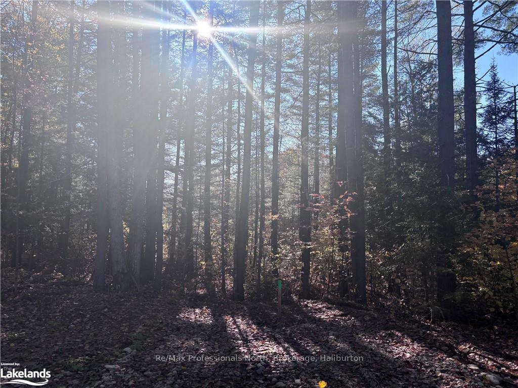Photo 4 of LOT 4, Algonquin Highlands, Stanhope — HOMEH