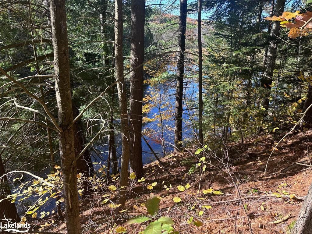Photo 10 of LOT 4, Algonquin Highlands, Stanhope — HOMEH