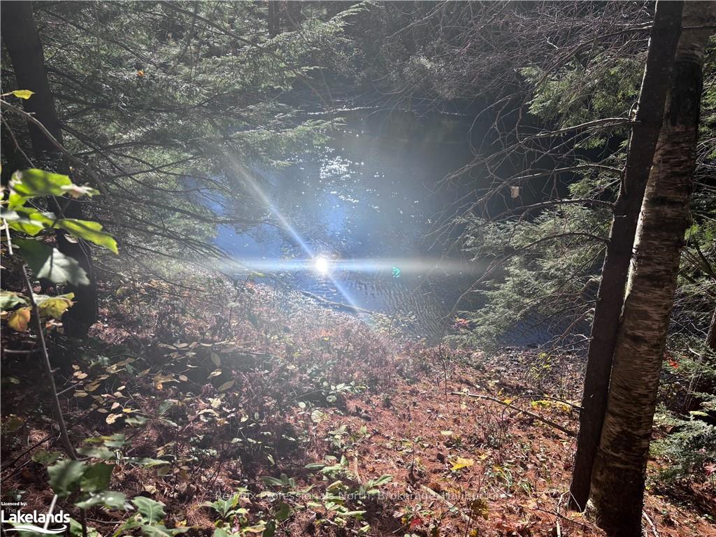 Photo 5 of LOT 4, Algonquin Highlands, Stanhope — HOMEH