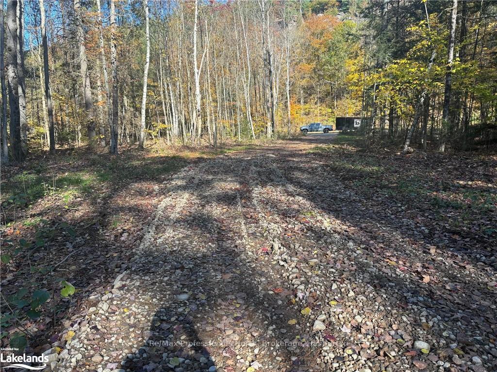 Photo 6 of LOT 4, Algonquin Highlands, Stanhope — HOMEH