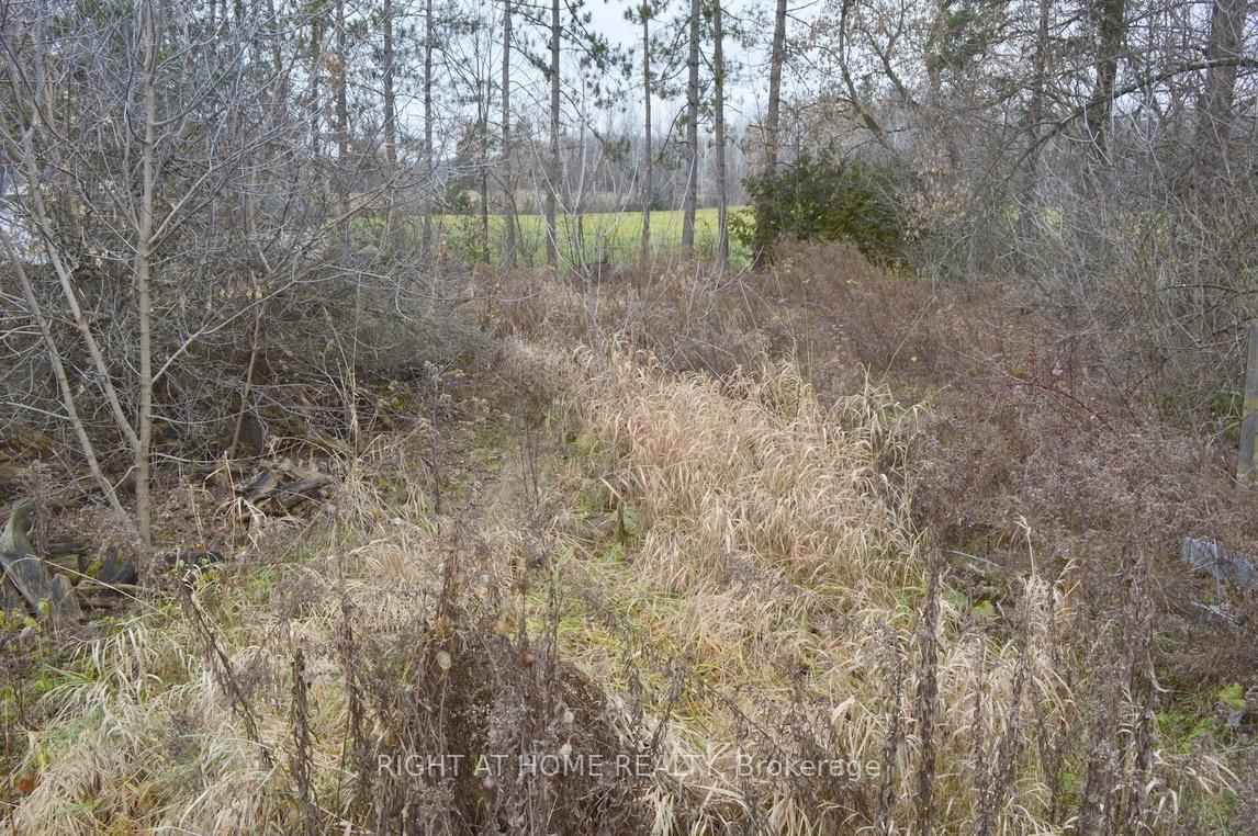 Photo 12 of 1685 Devine Road, Ottawa, Vars Village — HOMEH