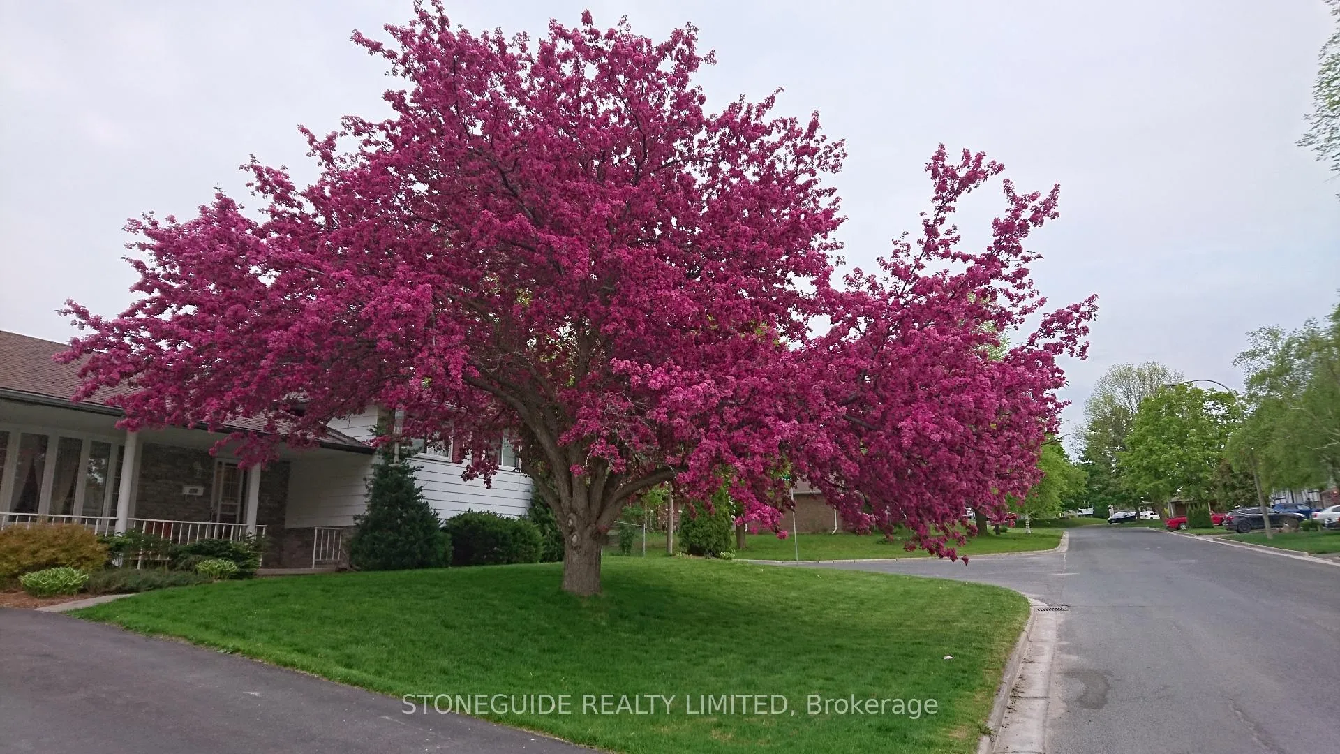 Photo 39 of 976 Sydenham Road, Peterborough, Ashburnham Ward 4 — HOMEH