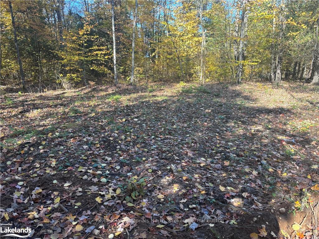 Photo 6 of LOT 6, Algonquin Highlands, Stanhope — HOMEH