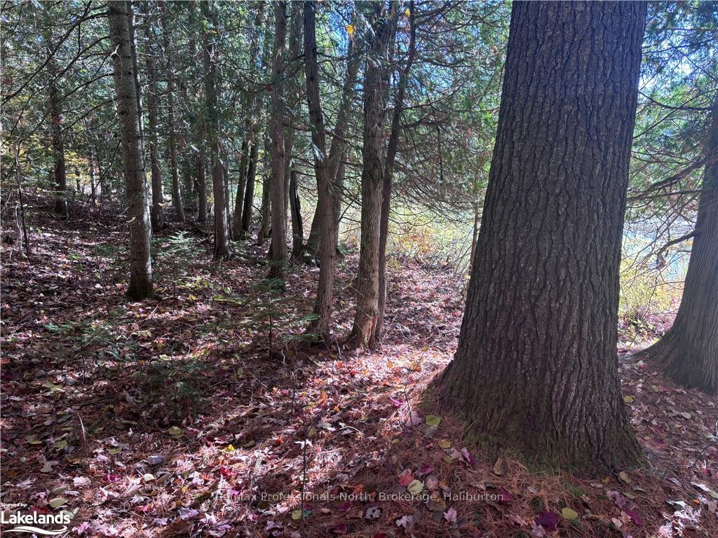 Photo 4 of LOT 6, Algonquin Highlands, Stanhope — HOMEH