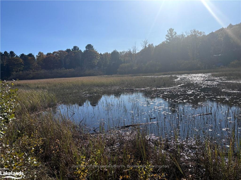 Photo 5 of LOT 6, Algonquin Highlands, Stanhope — HOMEH