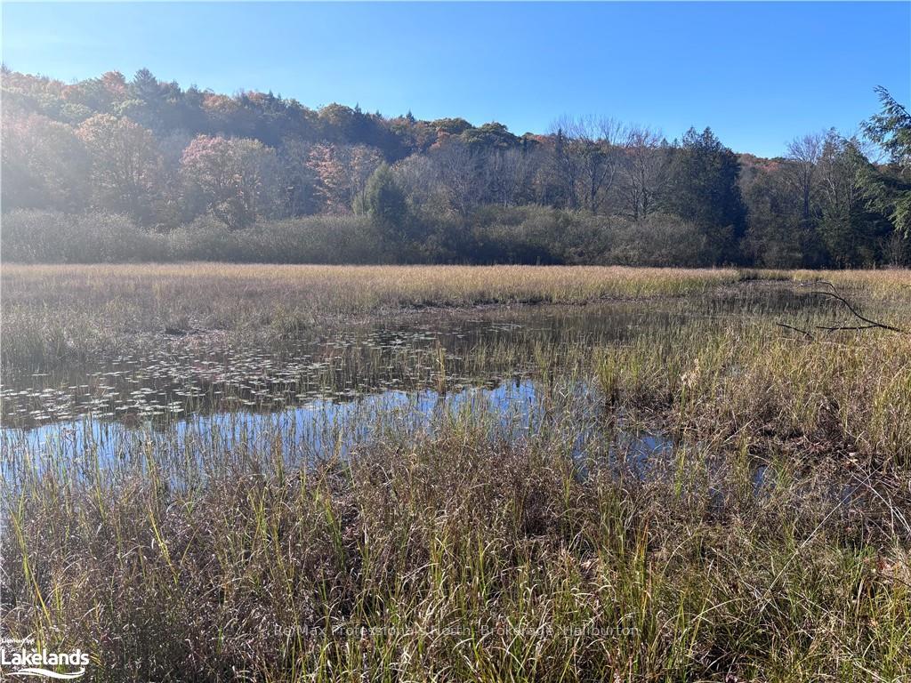 Photo 7 of LOT 6, Algonquin Highlands, Stanhope — HOMEH
