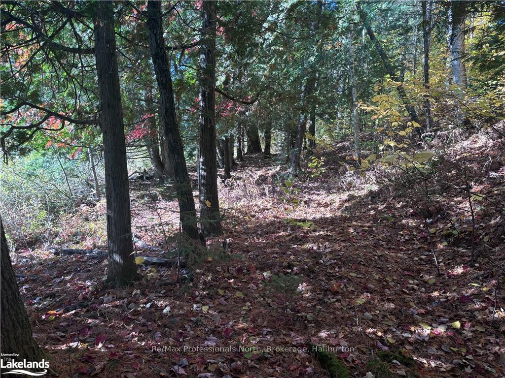 Photo 8 of LOT 6, Algonquin Highlands, Stanhope — HOMEH