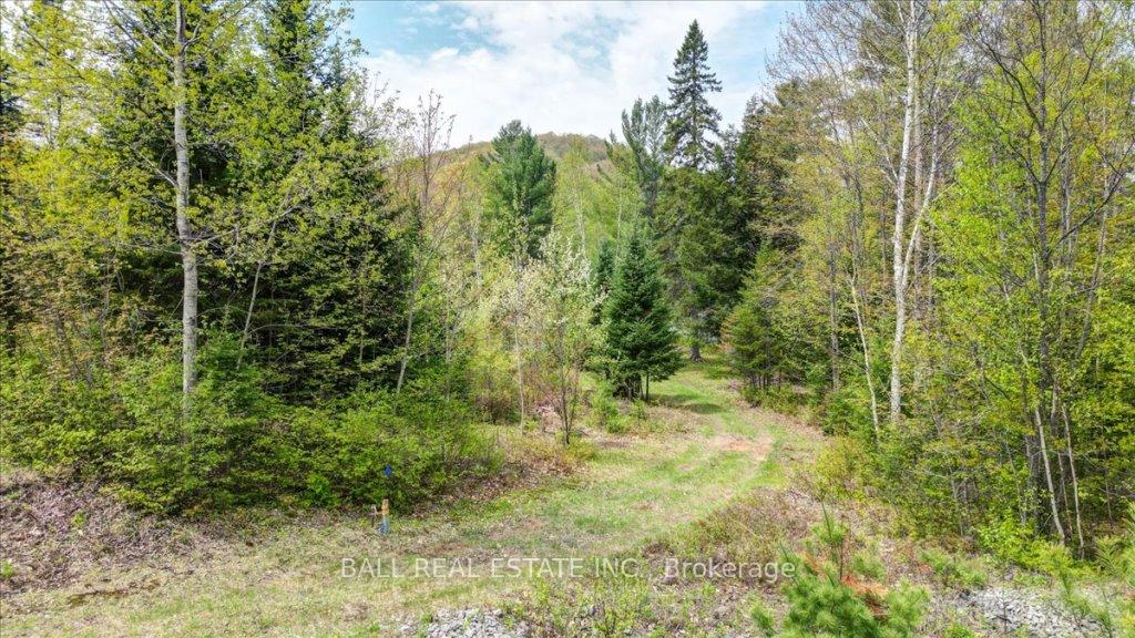 Photo 10 of 27 Vanluven Lane, Bancroft, Bancroft Ward — HOMEH