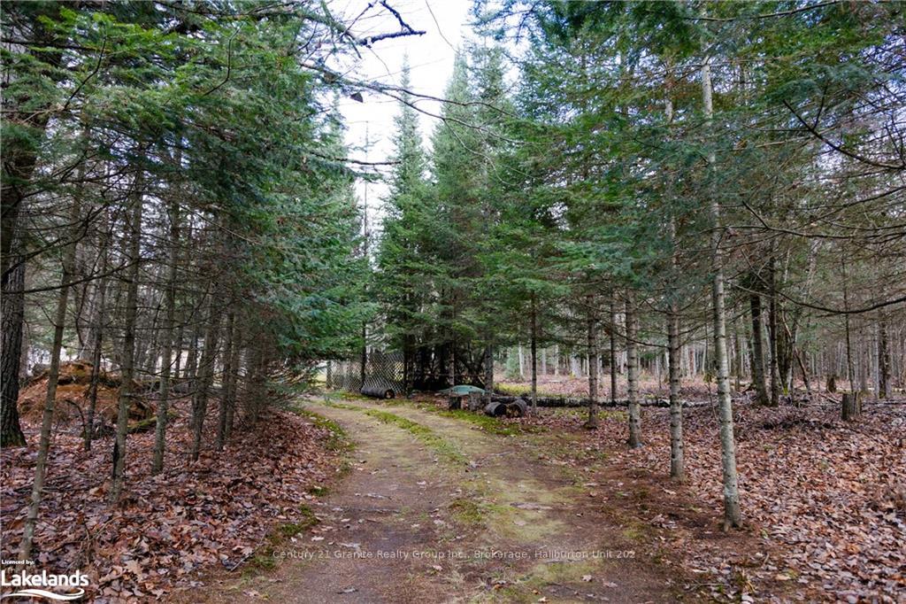 Photo 2 of 1538 Braeloch Road, Algonquin Highlands, Stanhope — HOMEH