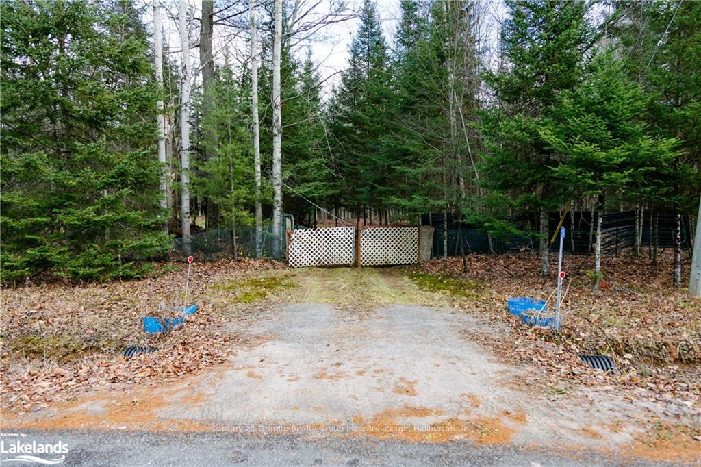 Photo 22 of 1538 Braeloch Road, Algonquin Highlands, Stanhope — HOMEH