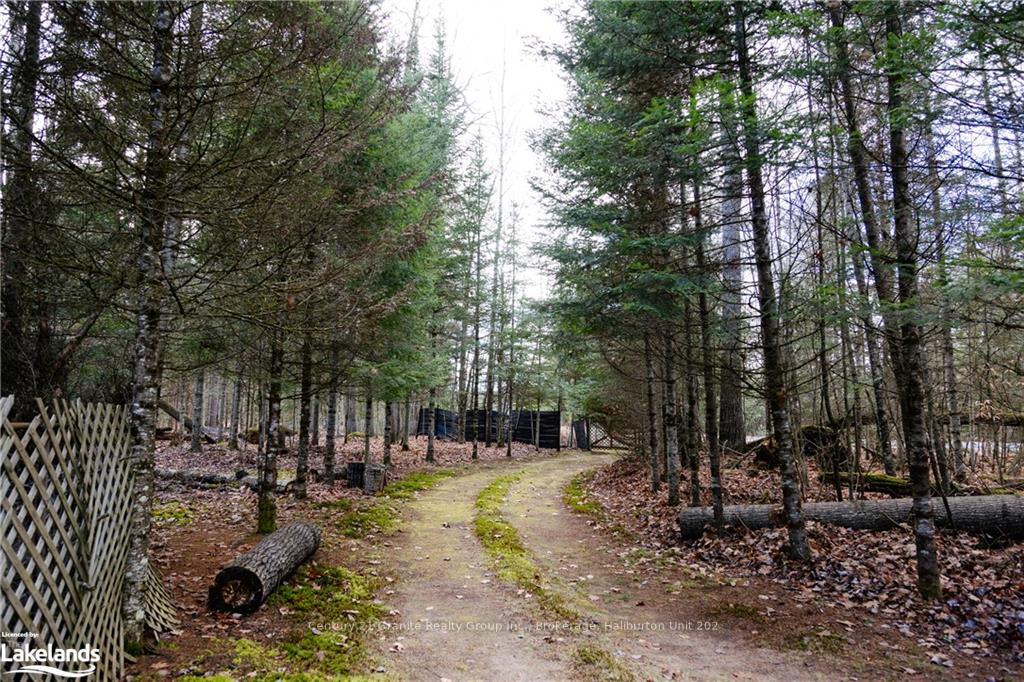 Photo 26 of 1538 Braeloch Road, Algonquin Highlands, Stanhope — HOMEH