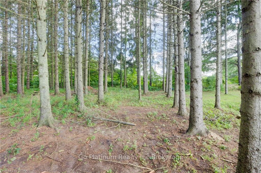 Photo 24 of 480 10TH Concession Road, Norfolk, Rural N. Walsingham — HOMEH