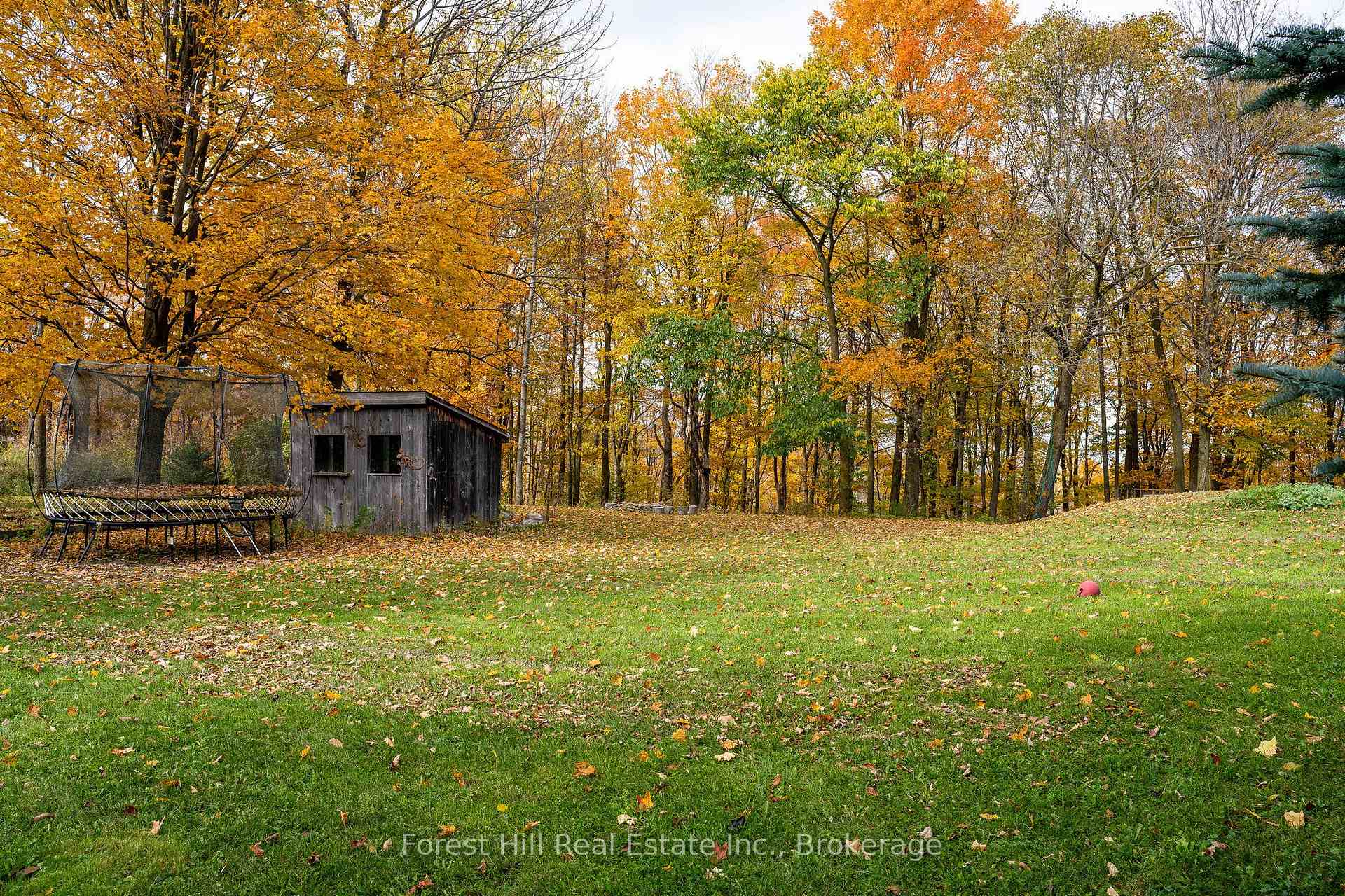 Photo 23 of 587317 9th Side Road, Blue Mountains — HOMEH