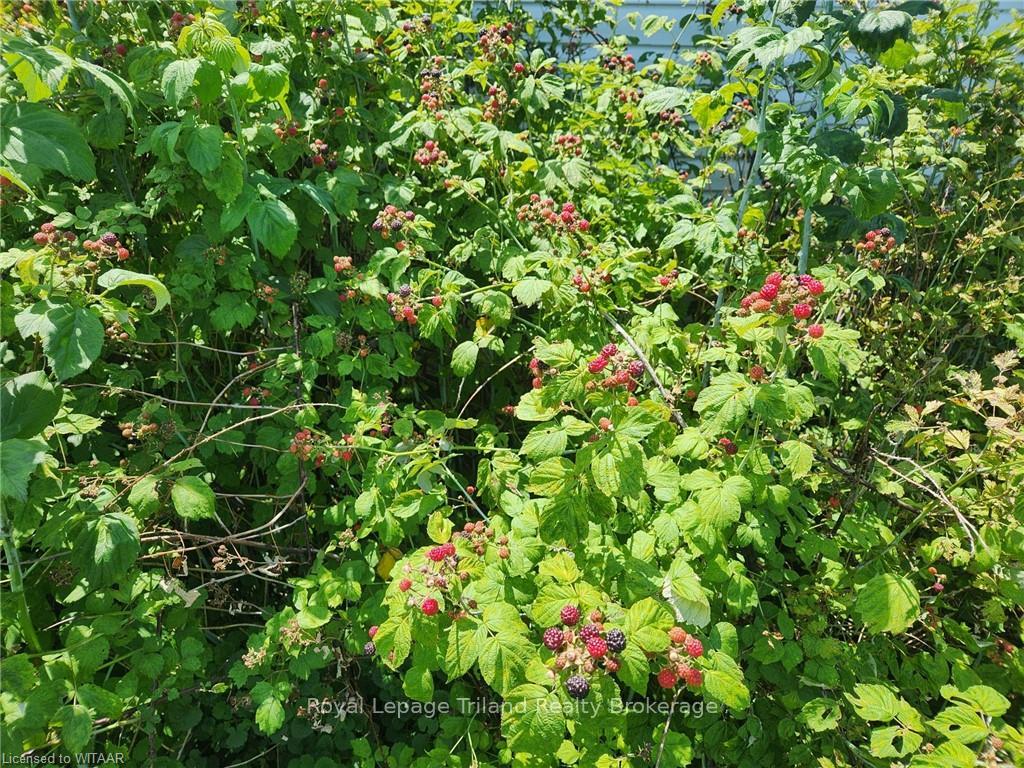 Photo 36 of 1253 Norfolk County Road 28, Norfolk, Frogmore — HOMEH