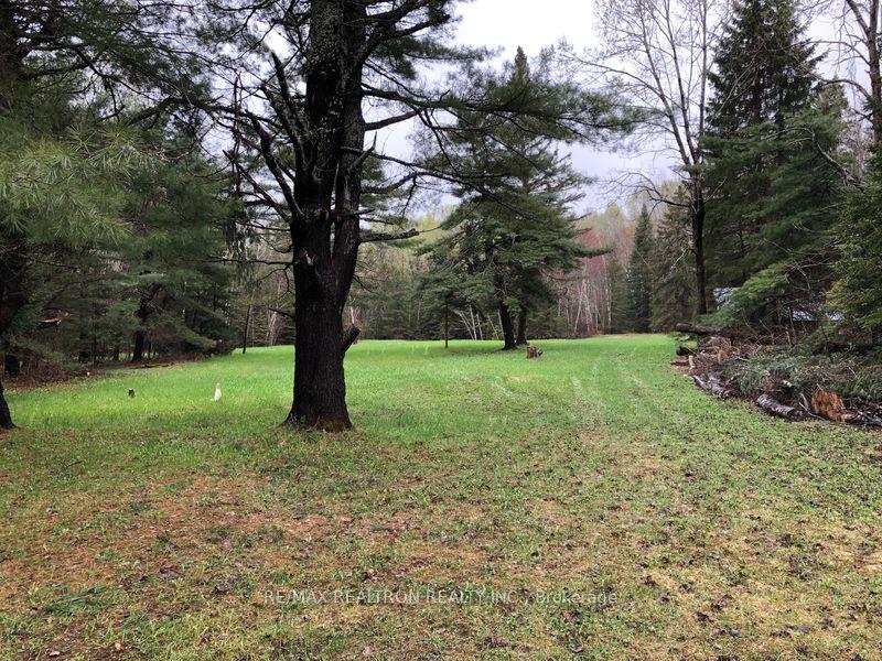 Photo 3 of 34 Galston Road, Calvin — HOMEH