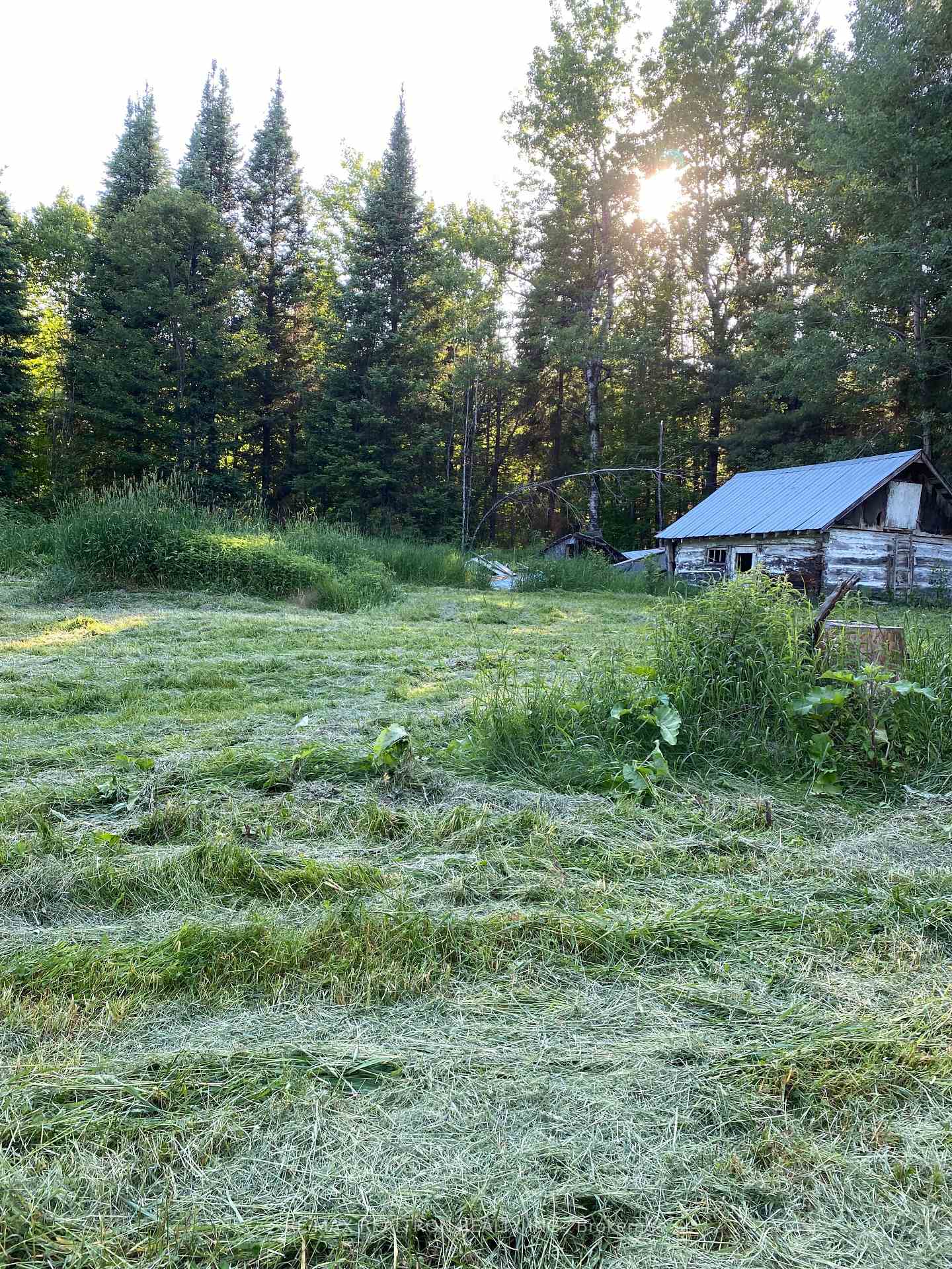 Photo 15 of 34 Galston Road, Calvin — HOMEH