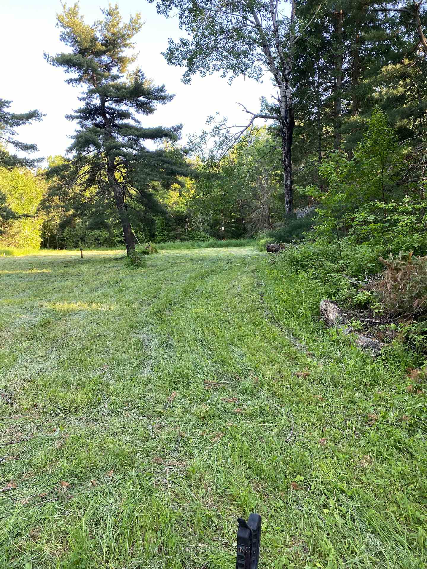 Photo 18 of 34 Galston Road, Calvin — HOMEH