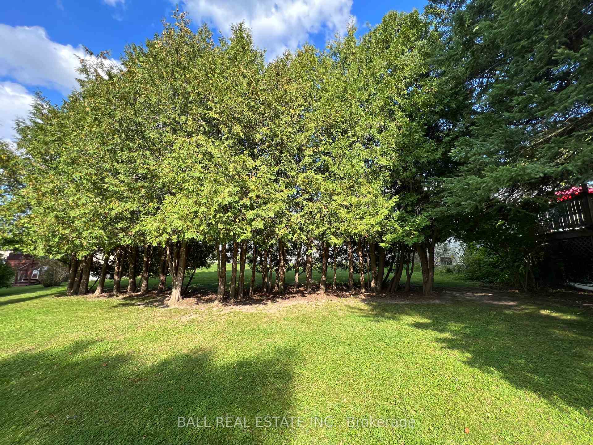 Photo 37 of 1183 Chemong Road, Peterborough, Northcrest Ward 5 — HOMEH