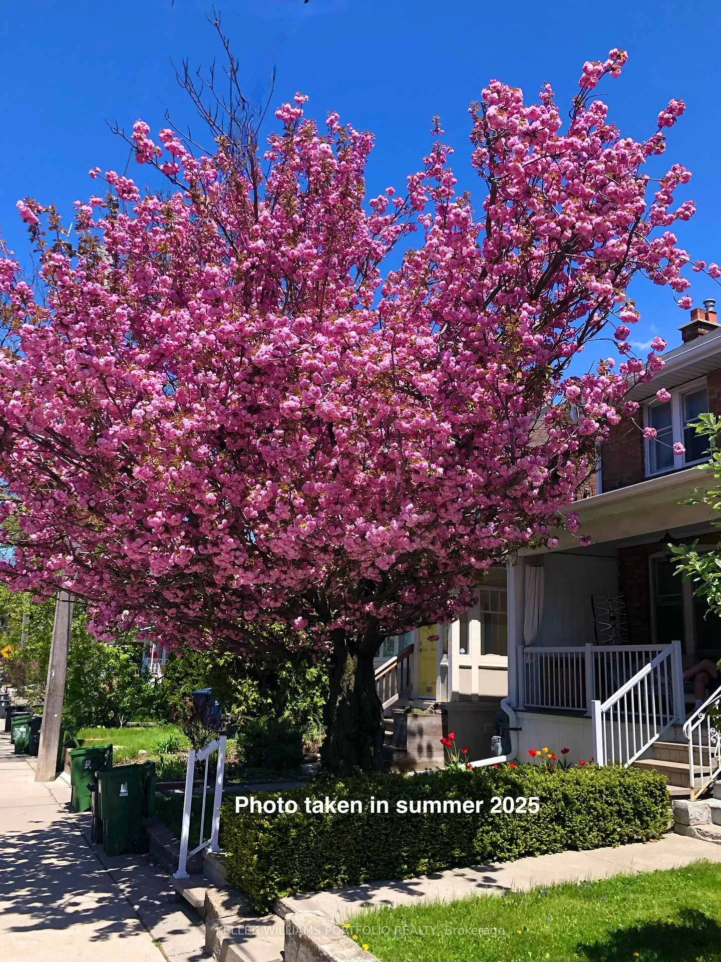 Photo 34 of 31 Mcroberts Avenue, Toronto, Corso Italia-Davenport — HOMEH