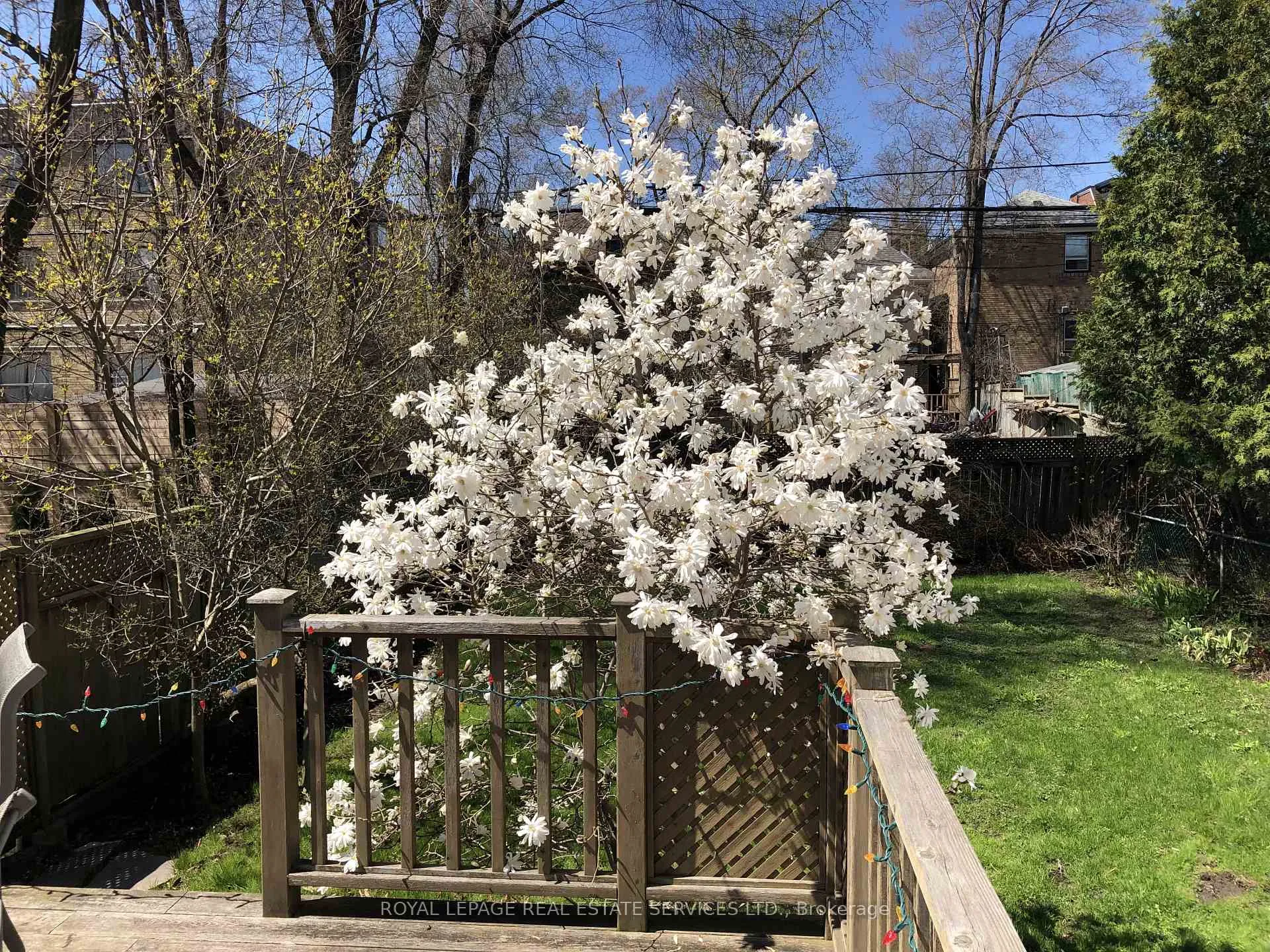 Photo 39 of 326 Indian Grove, Toronto, High Park North — HOMEH