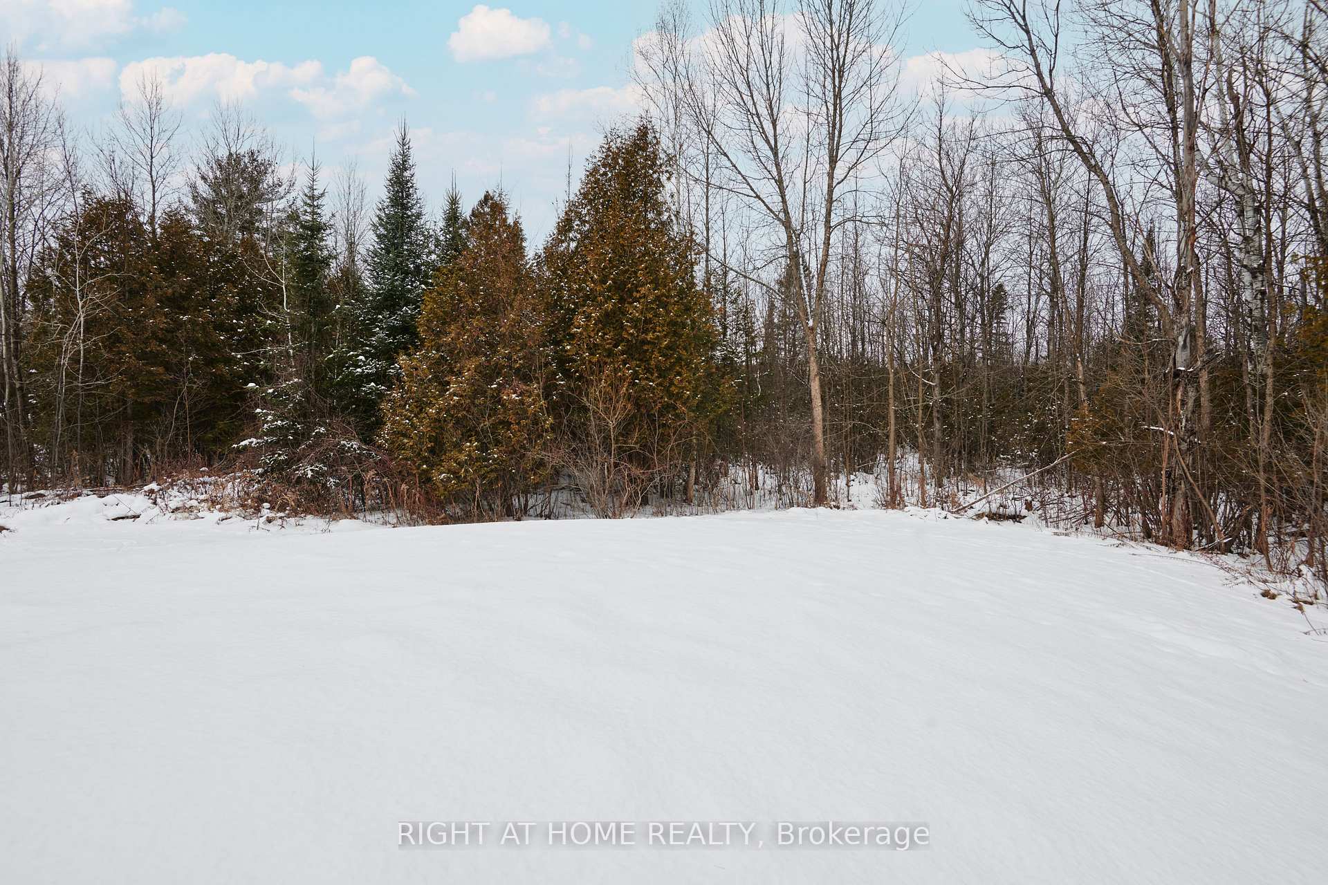 Photo 29 of 9676 Hall Road, Augusta, Augusta Twp — HOMEH