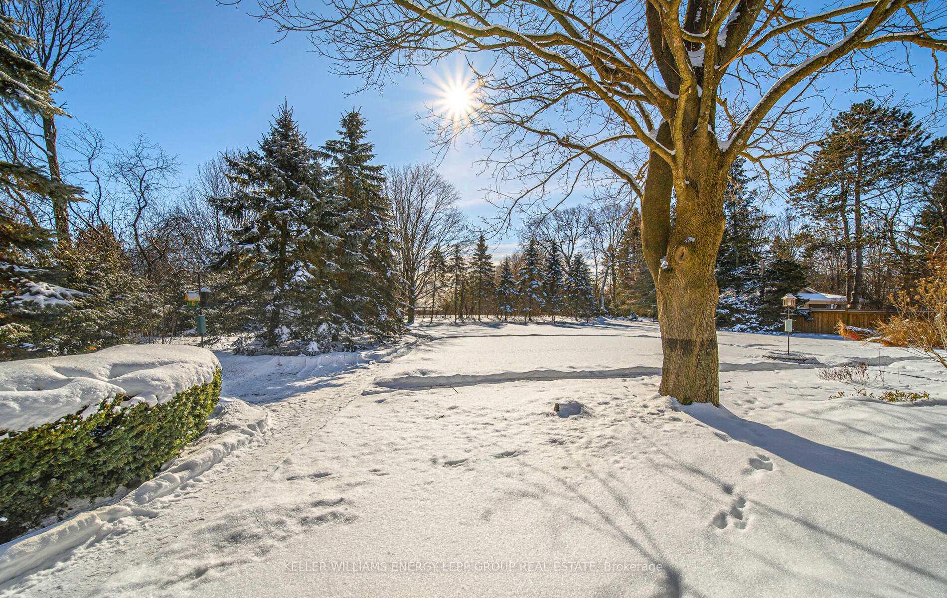 Photo 47 of 19 Glenlaura Crescent, Whitby, Rural Whitby — HOMEH