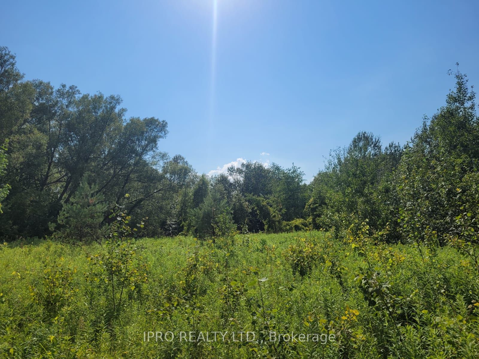 Photo 2 of 3350 Middle Road, Clarington, Bowmanville — HOMEH