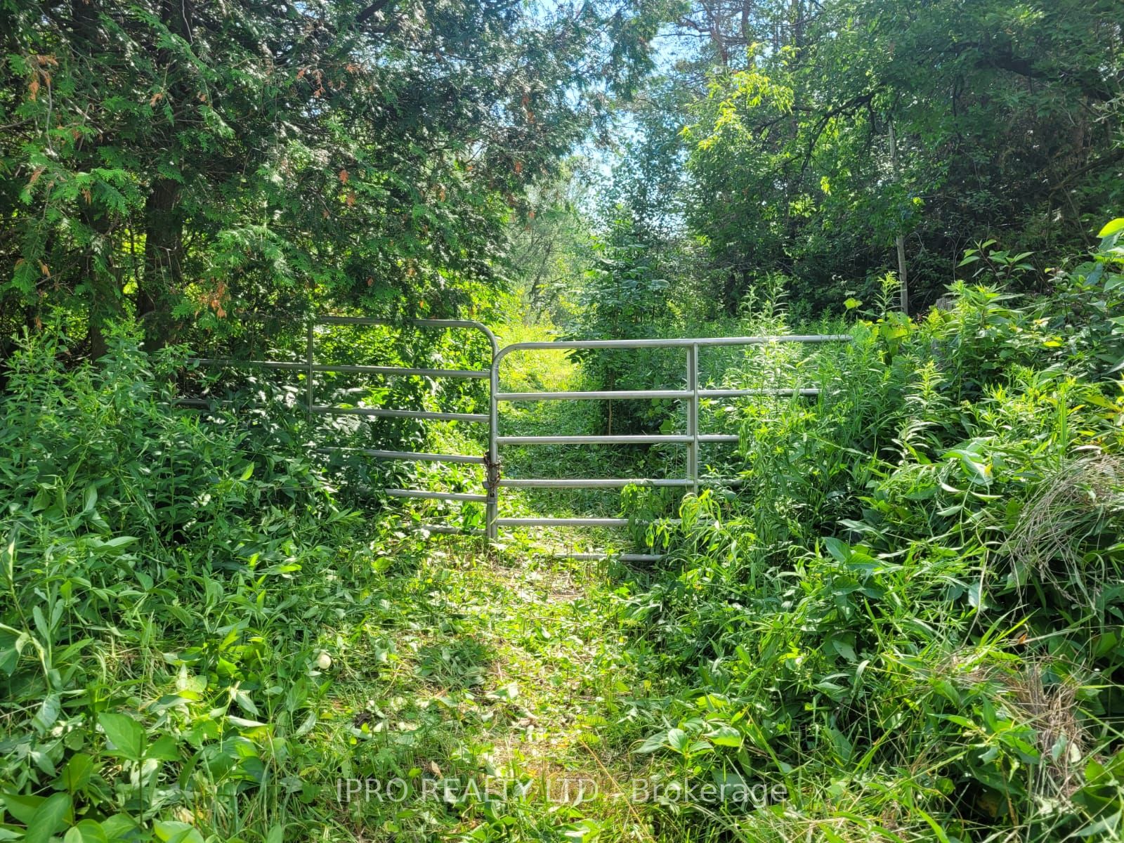 Photo 14 of 3350 Middle Road, Clarington, Bowmanville — HOMEH