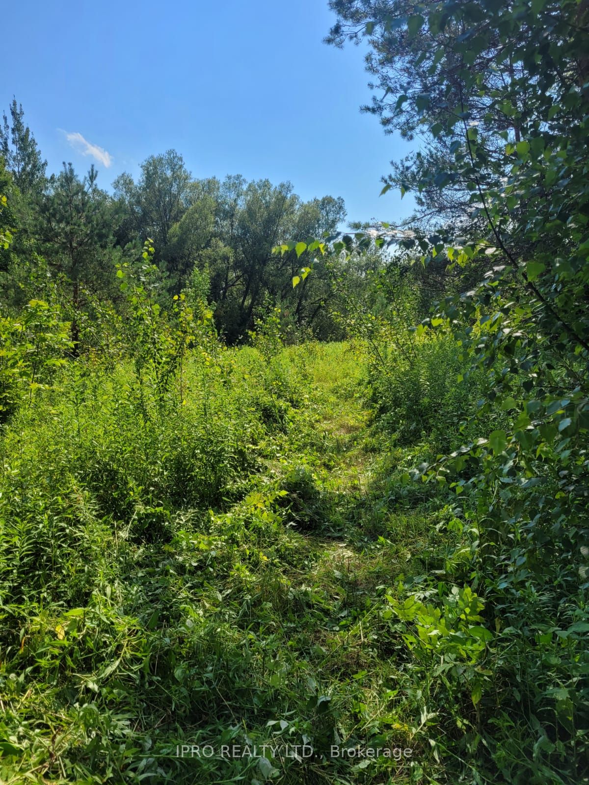 Photo 17 of 3350 Middle Road, Clarington, Bowmanville — HOMEH