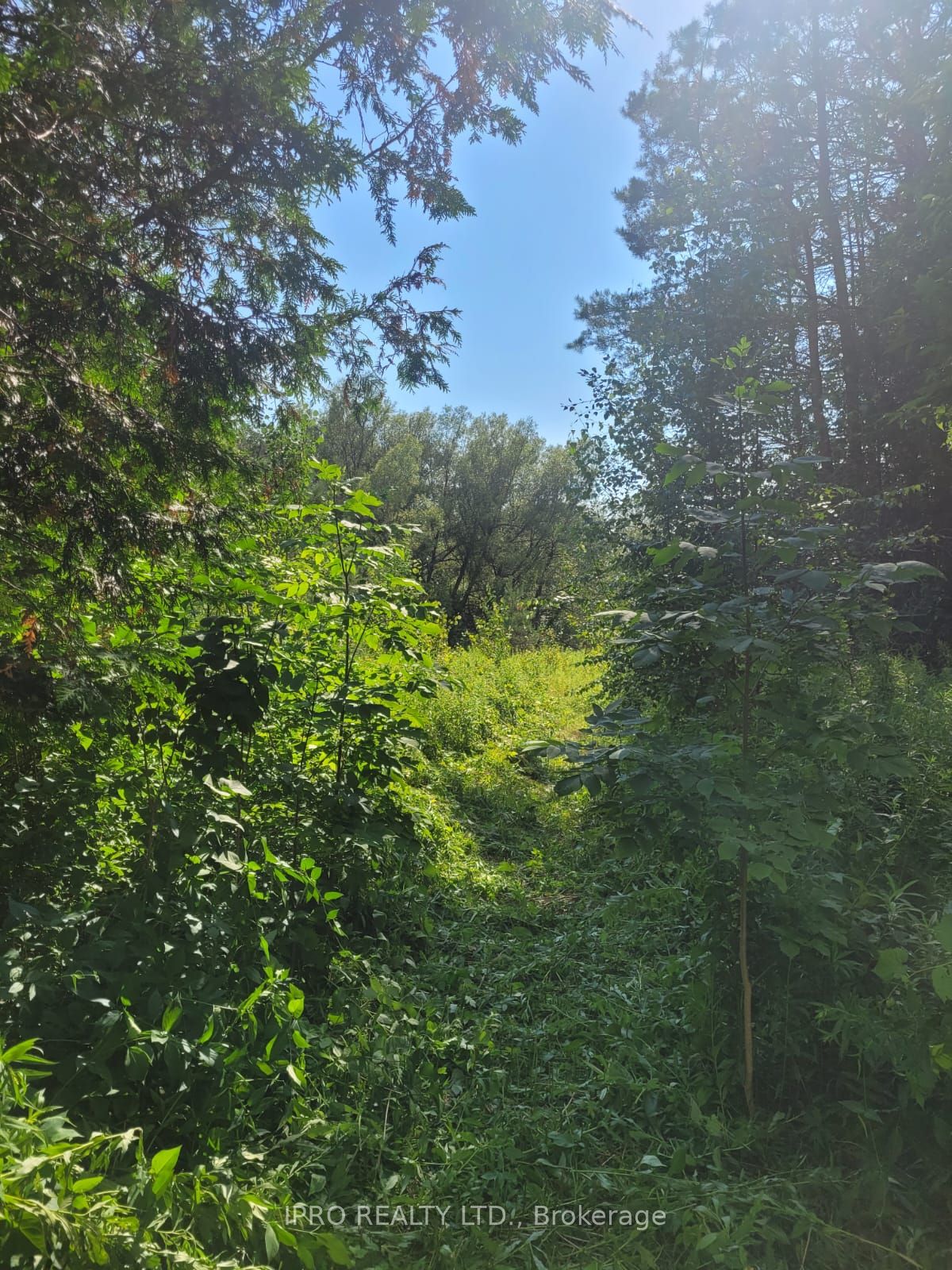 Photo 13 of 3350 Middle Road, Clarington, Bowmanville — HOMEH