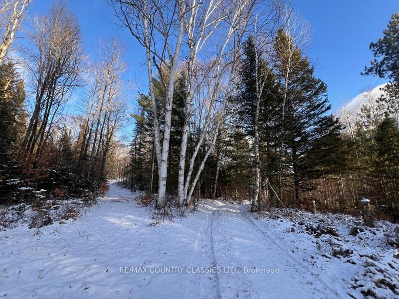 Photo 19 of 441 Quarry Road, Bancroft, Dungannon Ward — HOMEH