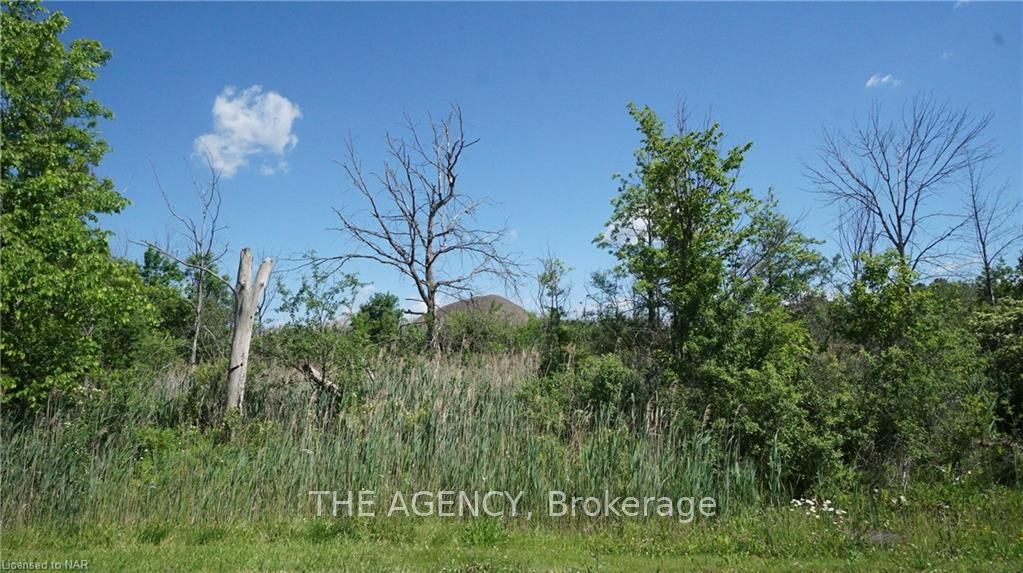 Photo 1 of 26 Shaw Street, Welland, Broadway — HOMEH