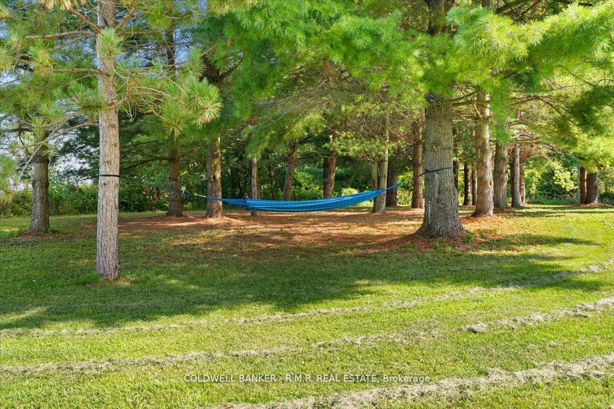 Photo 48 of 1126 County 41 Road, Brighton, Rural Brighton — HOMEH