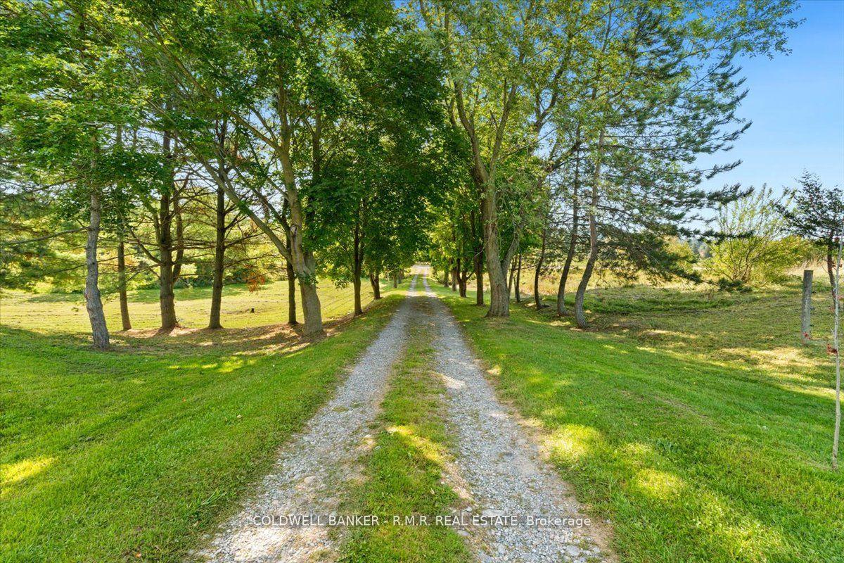 Photo 44 of 1126 County 41 Road, Brighton, Rural Brighton — HOMEH