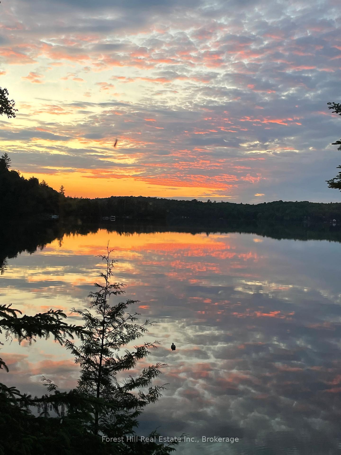 Photo 7 of 27509 Minden Point Trail, Algonquin Highlands, Sherborne — HOMEH