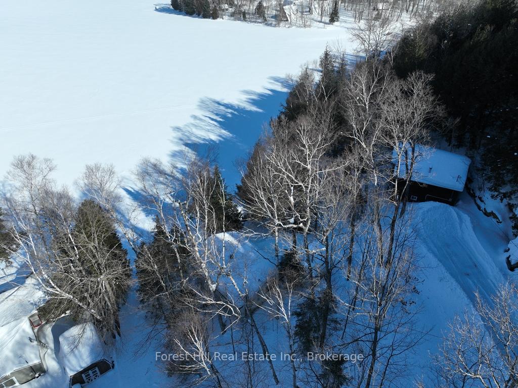 Photo 12 of 27509 Minden Point Trail, Algonquin Highlands, Sherborne — HOMEH