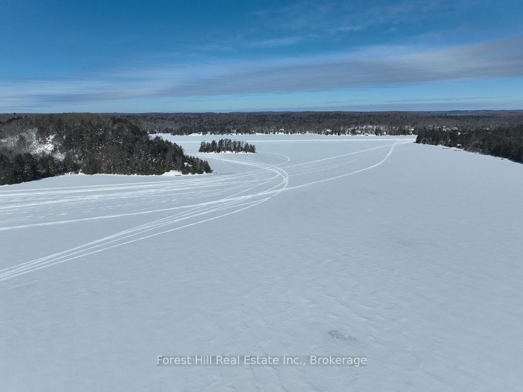 Photo 14 of 27509 Minden Point Trail, Algonquin Highlands, Sherborne — HOMEH