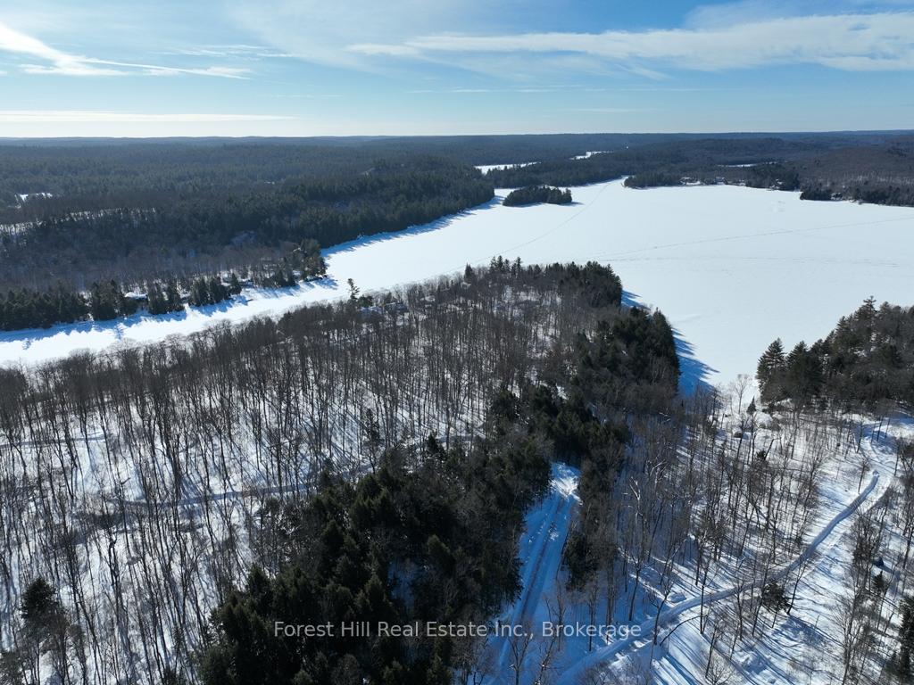 Photo 19 of 27509 Minden Point Trail, Algonquin Highlands, Sherborne — HOMEH