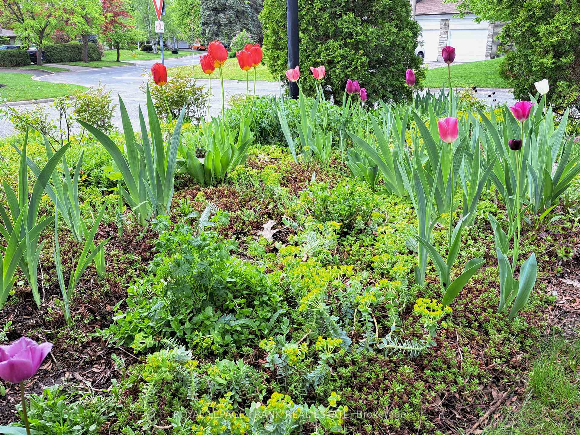 Photo 40 of 1690 Pinehill Drive, Peterborough, Monaghan Ward 2 — HOMEH