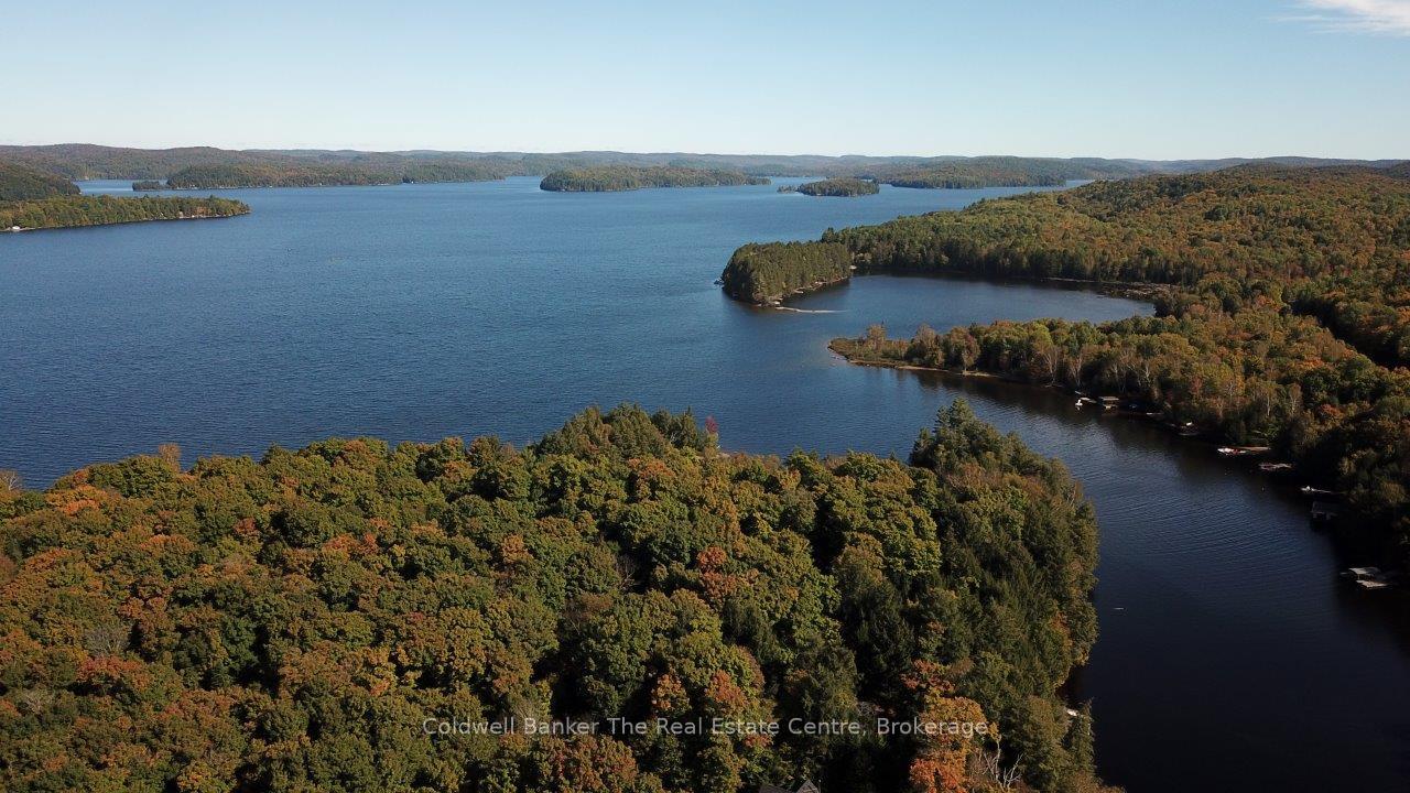 Photo 45 of 1275 Wolf Circle, Algonquin Highlands, Sherborne — HOMEH