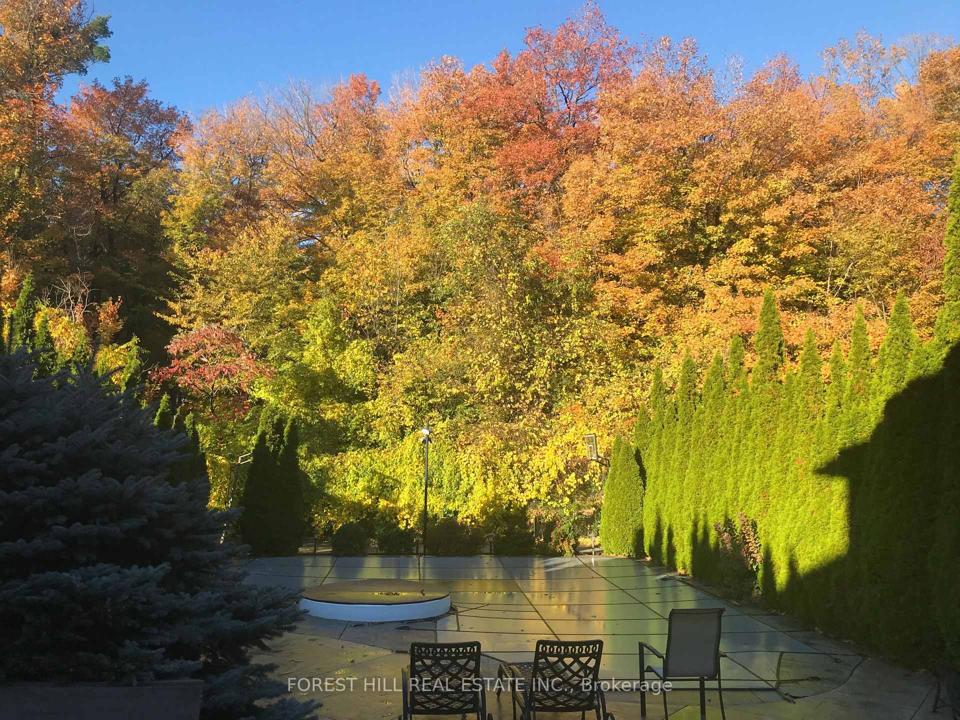Photo 45 of 264 Thornhill Woods Drive, Vaughan, Patterson — HOMEH