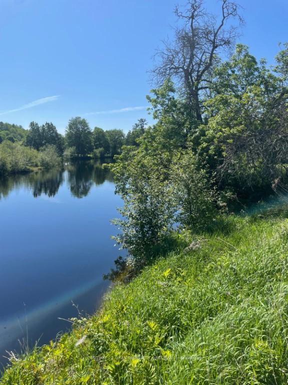 Photo 1 of Chemaushgon Road, Bancroft, Bancroft Ward — HOMEH