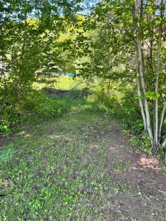 Photo 7 of Chemaushgon Road, Bancroft, Bancroft Ward — HOMEH