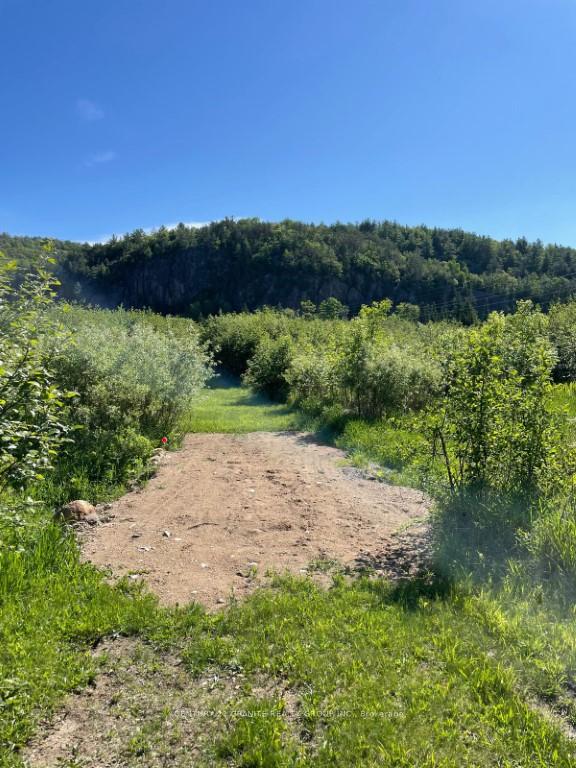 Photo 4 of 246 Chemaushgon Road, Bancroft, Bancroft Ward — HOMEH