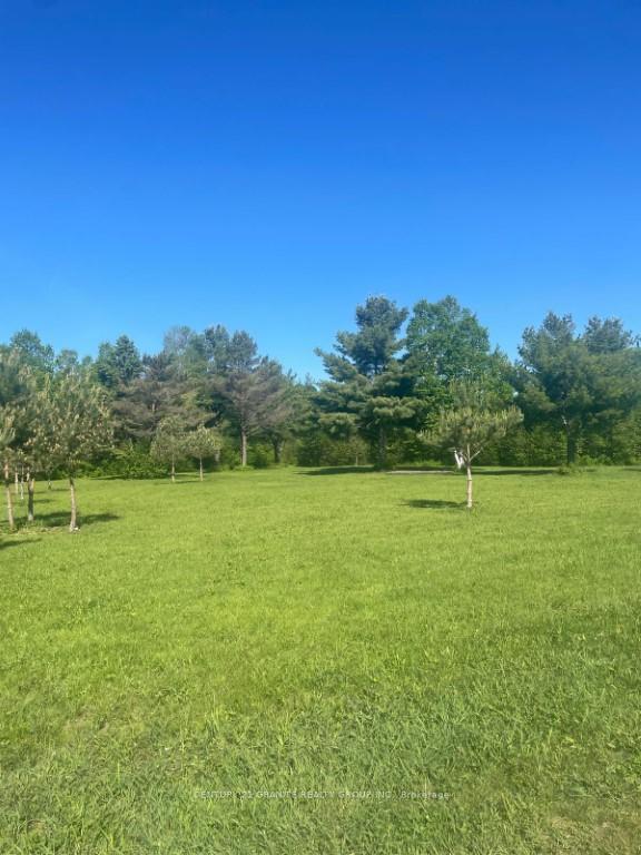 Photo 8 of 246 Chemaushgon Road, Bancroft, Bancroft Ward — HOMEH