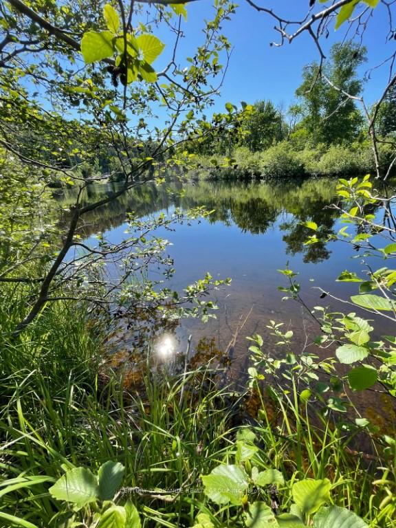 Photo 6 of 246 Chemaushgon Road, Bancroft, Bancroft Ward — HOMEH