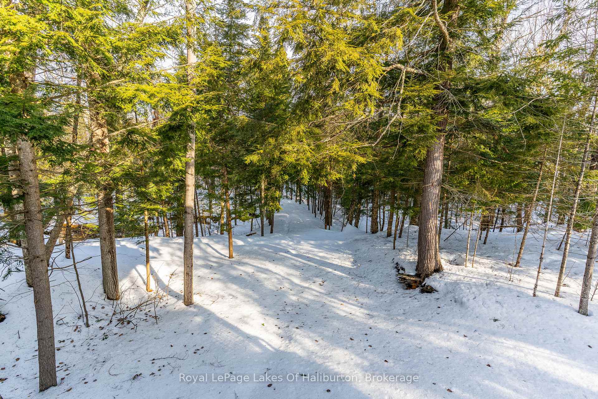 Photo 31 of 1026 Pine Needle Trail, Algonquin Highlands, Stanhope — HOMEH