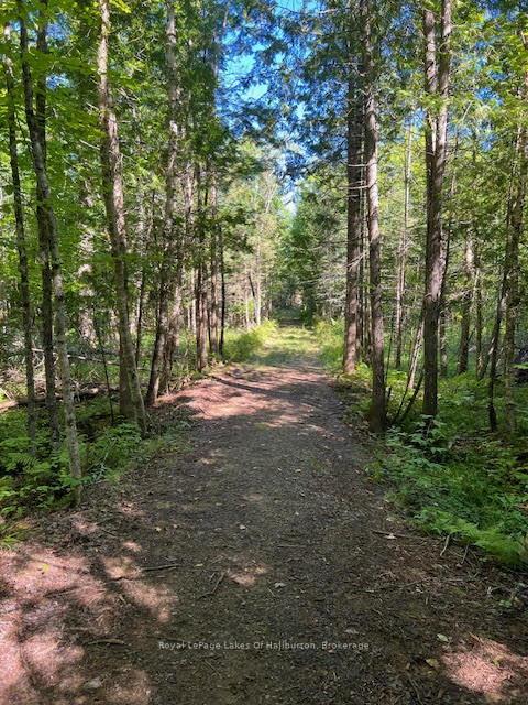 Photo 30 of 1026 Pine Needle Trail, Algonquin Highlands, Stanhope — HOMEH